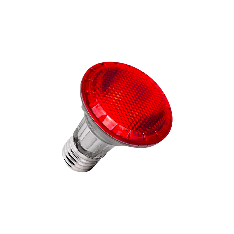 Lâmpanda KIT 05 Halogena Par 20 50W 220V Vermelho Sylvania