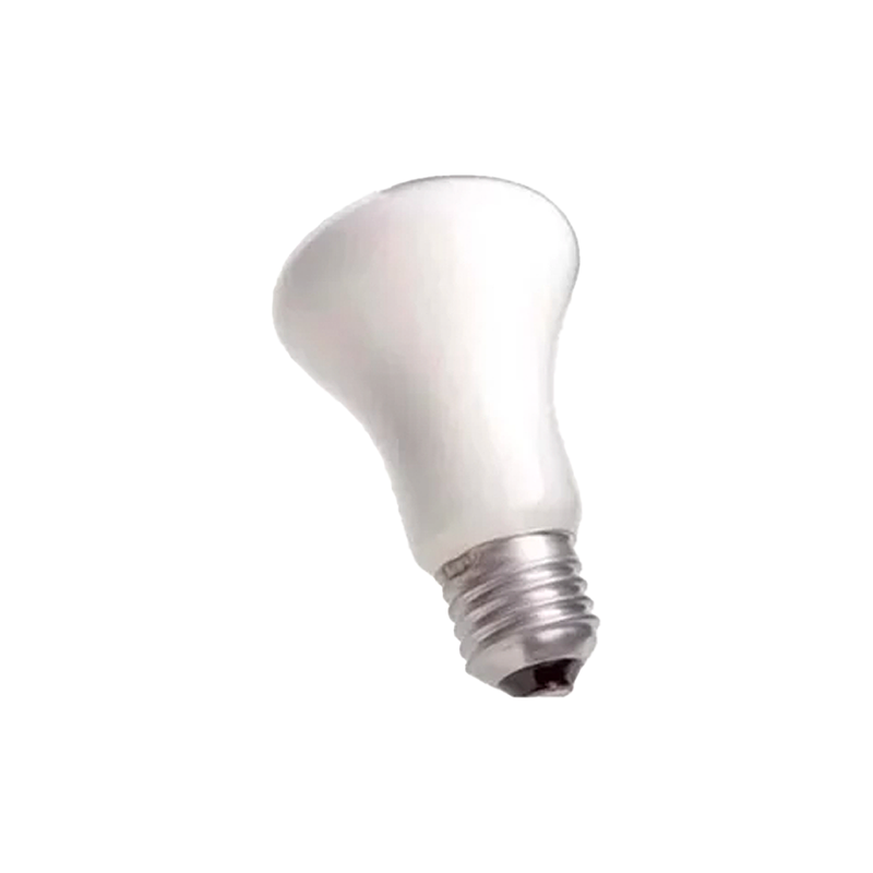 Lâmpada Incandescente leitosa Alvalux 40W 127V 3000K Sylvania